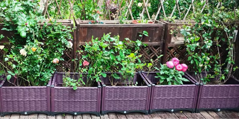 Raised Bed 3 Pots Indoor Outdoor Garden Patio Courtyard Poly Rattan Planter Promotion Usage for Climbing Plants