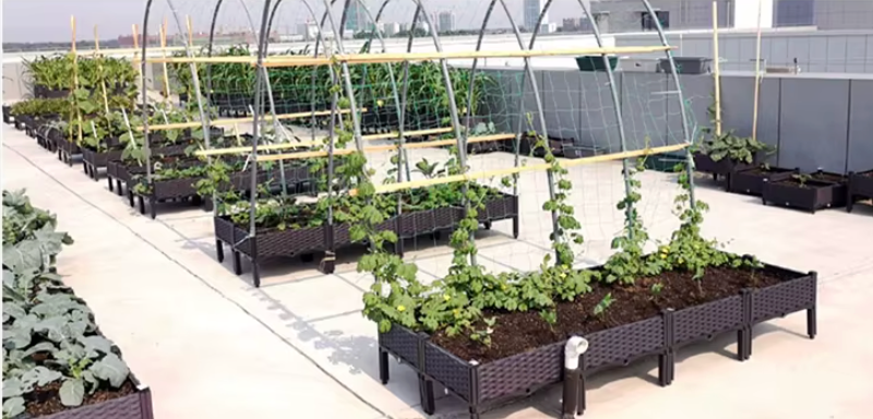 Raised Bed 3 Pots Indoor Outdoor Garden Patio Courtyard Poly Rattan Planter Promotion Usage for Climbing Plants