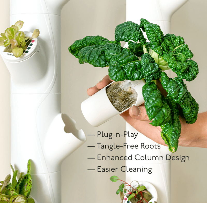 Non-GMO Herb Vegetable Seeds Indoor Vertical Hydroponics Garden Kit Large Steel Planters LED Grow Lights Non-GMO Herb Vegetable