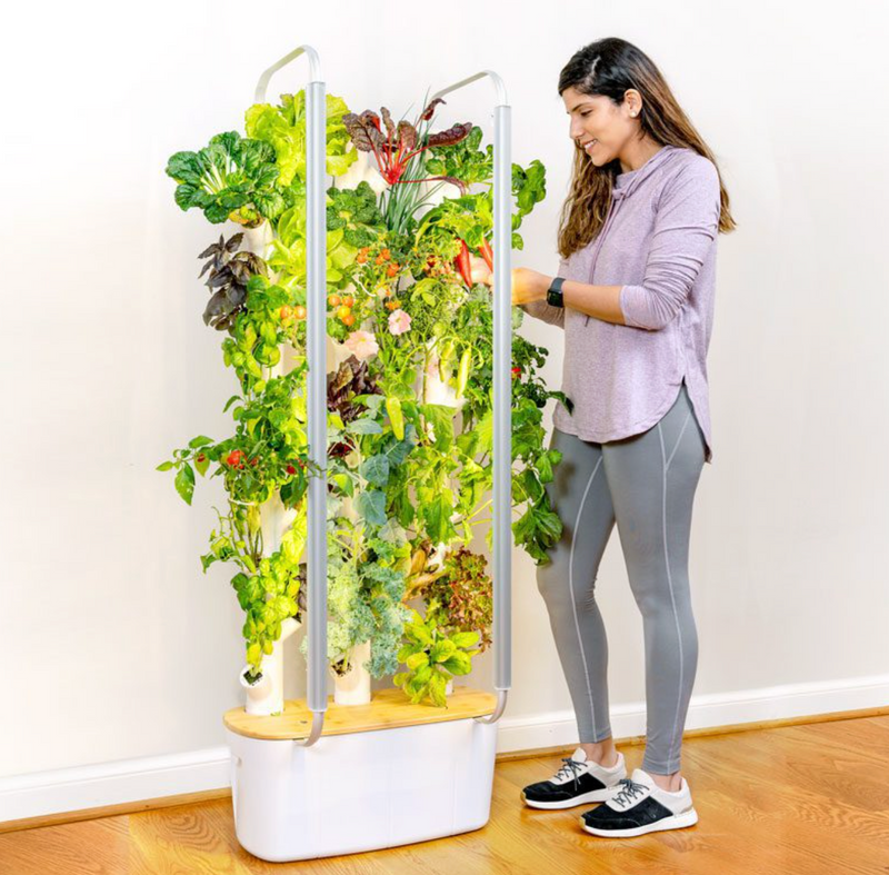 Non-GMO Herb Vegetable Seeds Indoor Vertical Hydroponics Garden Kit Large Steel Planters LED Grow Lights Non-GMO Herb Vegetable