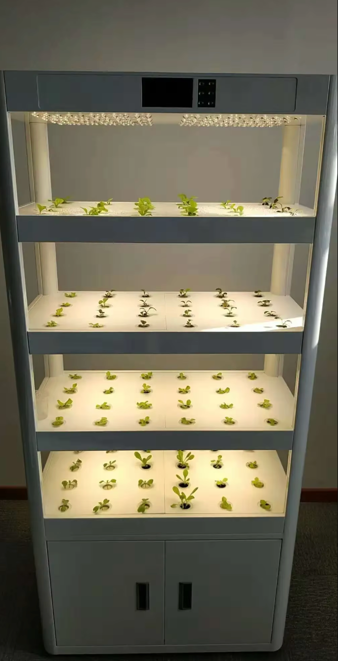 Indoor Vertical Hydroponics Desktop Smart Hydroponic Grow System Flower Pot Indoor NFT Grow Box