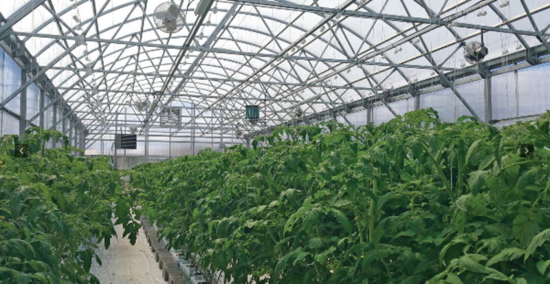 FarmTek GrowSpan Series 1000 Commercial Greenhouse