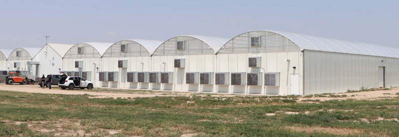 FarmTek GrowSpan Series 1000 Commercial Greenhouse