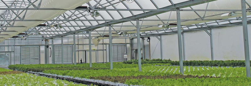 FarmTek GrowSpan Series 1000 Commercial Greenhouse