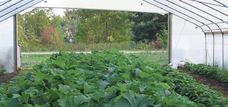 FarmTek GrowSpan Gothic Premium High Tunnel Greenhouse System
