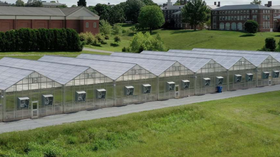 Commercial Greenhouses