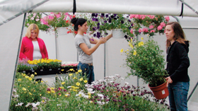 Residential Greenhouses